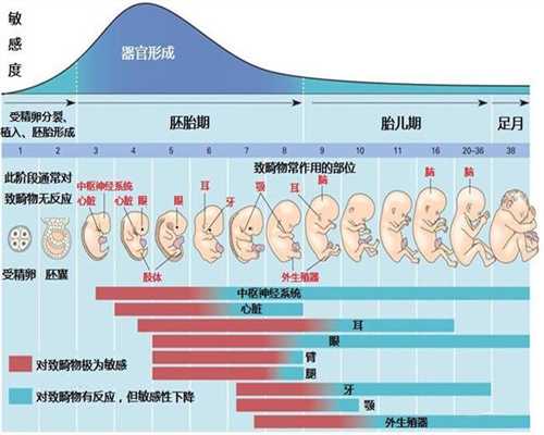 重庆5A级代孕公司：代孕产子费用是多少_代怀孕中介联系方式