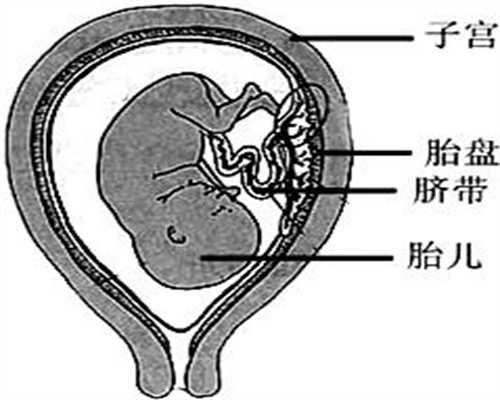重庆5A认证代孕网：代孕生子便宜_代孕产子服务