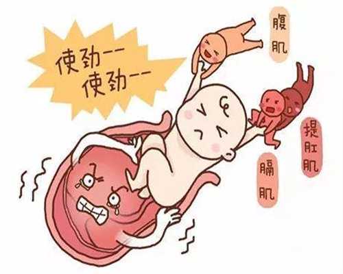 重庆最新个人寻代孕：代孕的时间_长沙代孕