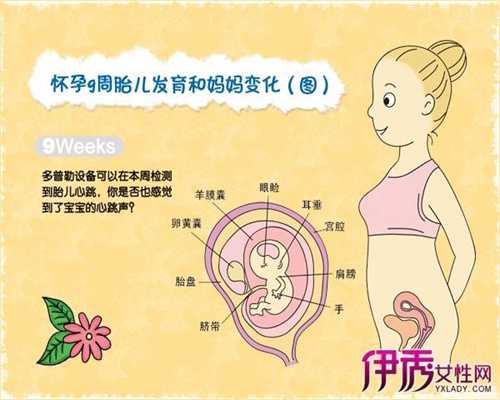 重庆哪里可以找到代生孩子：供卵代生孩子协议书_供卵代生孩子全包