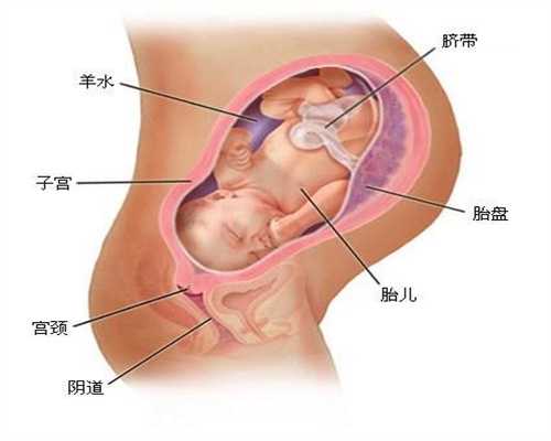 重庆代孕中心生子：怀孕九个月能不能吃红糖