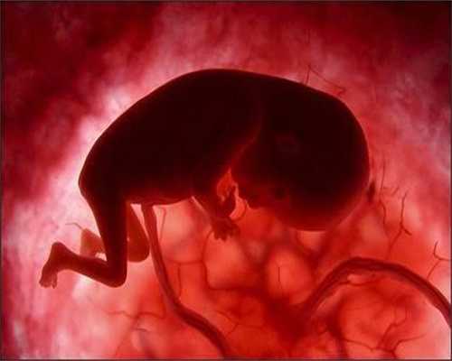 重庆代孕中心生子：怀孕九个月能不能吃红糖