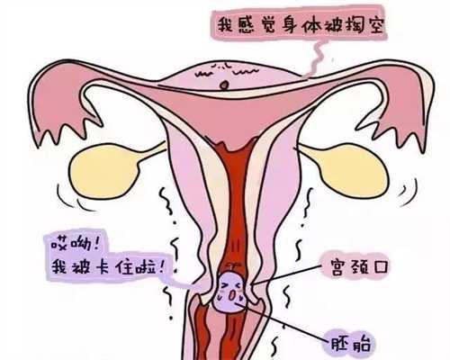 重庆合法代孕qq群：孕妇能不能吃马苋菜