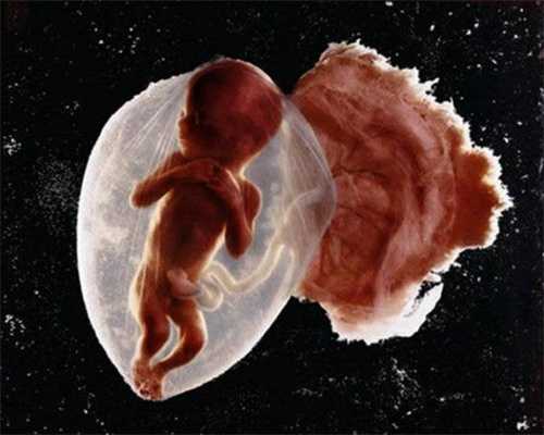 重庆代孕的机构有哪些：人流后多久能怀孕