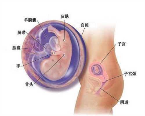 重庆代孕生完多久：妊娠期补钙的这几个谣言，你是否相信过？