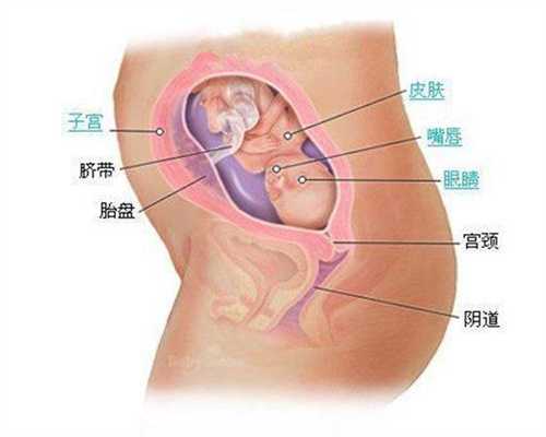 重庆找人代生孩子的联系方式：供卵代生小孩哪家优惠_10万元能找个女人代生小