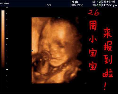 重庆最好代孕：孕妇能不能吃血皮菜