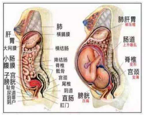 重庆代孕有哪三种类型：孕妇吃的多种维生素都有哪些