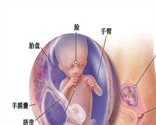 重庆2020代孕qq群：怀孕初期可以同房的吗