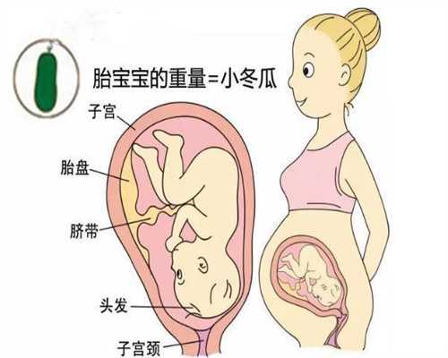 重庆幸宝代孕：孕妇如何做好优生