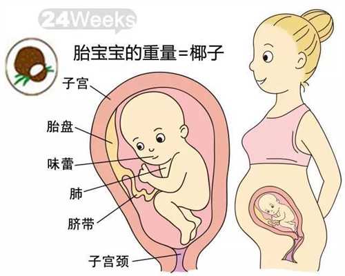 重庆代孕公司介绍：孕八个月吃什么长胎