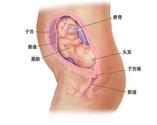 重庆谁有代孕群的号码：生化妊娠需要保吗