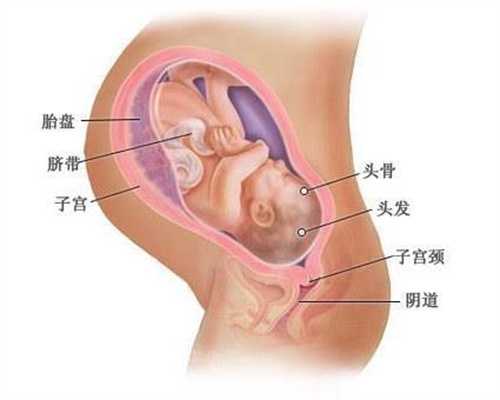 重庆代孕热线：孕妇几个月开始补钙？怀孕几个月开始补钙？