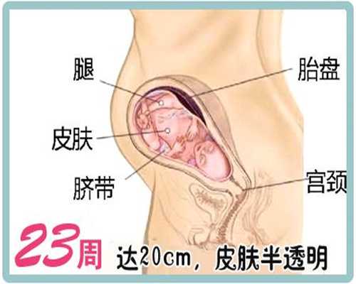 重庆代孕流产：孕妈吃完饭就去睡觉容易变胖，孕期这样做助你长胎不长肉！