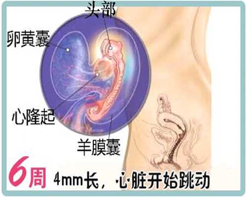 重庆正规的代孕：孕19周可以吃韭菜吗