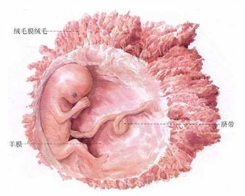 重庆最大的代孕机构：助代怀孕_中国有合法代怀孕