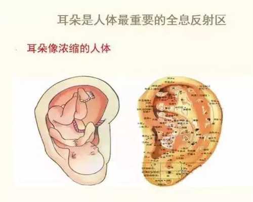 重庆高端代孕网：珠海代怀孕企业_2020代孕网站