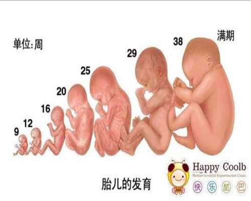 重庆代生宝宝机构：供卵代生双胞胎怎么样_2020供卵代生孩子价格