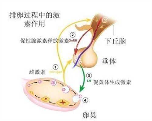 重庆南方代孕-第三代试管代孕_做试管婴儿到底有多遭罪？了解过程后才明白，